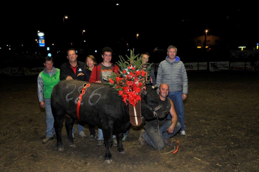 Finale Manzi 2019 360