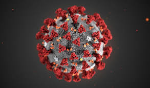 Coronavirus: la situazione alle ore 13 del 12 marzo 2020