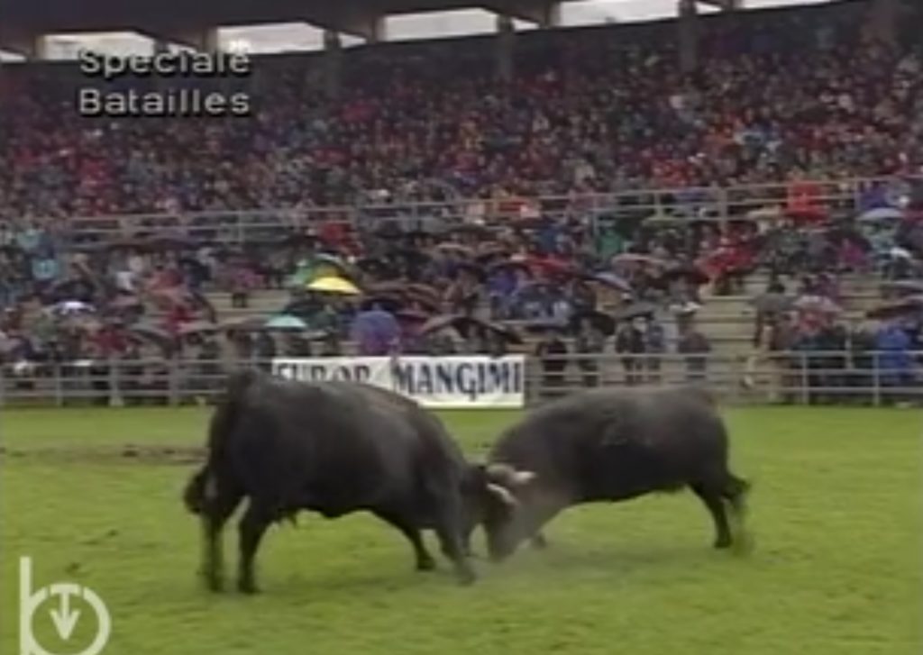 La Regionale 1993