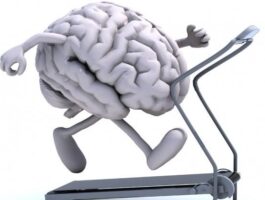 Palestre della mente: un percorso di stimolazione neurocognitiva
