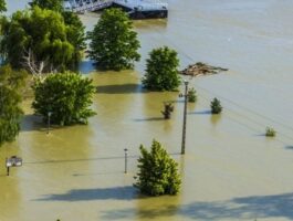 10 mila euro donati per il post-alluvione in Romagna